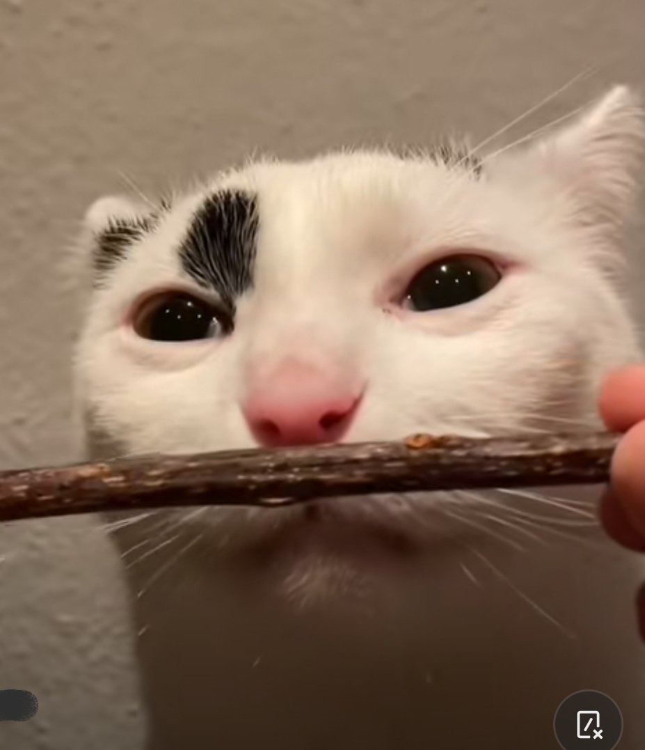 <a href="/SrLuchoPortuano/">Lucho Portuano</a> Todos los canales de memes grasosos por el 2018 cómo Sr. Red o memes random, me avergüenza