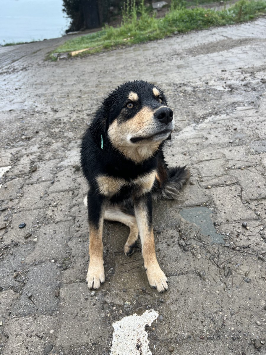 mahmutisliyen's tweet photo. Mugada - İnkum 🍃 https://t.co/Irk0CUNNNy