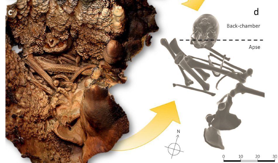 robertosaezm's tweet image. ¿Recordáis al neandertal embebido en una estalagmita de la cueva Altamura, Italia? Este es el estudio de su cráneo mediante una "excavación virtual". Muy interesante: 
Virtual excavation and analysis of the early
Neanderthal cranium from Altamura (Italy) nature.com/articles/s4200…