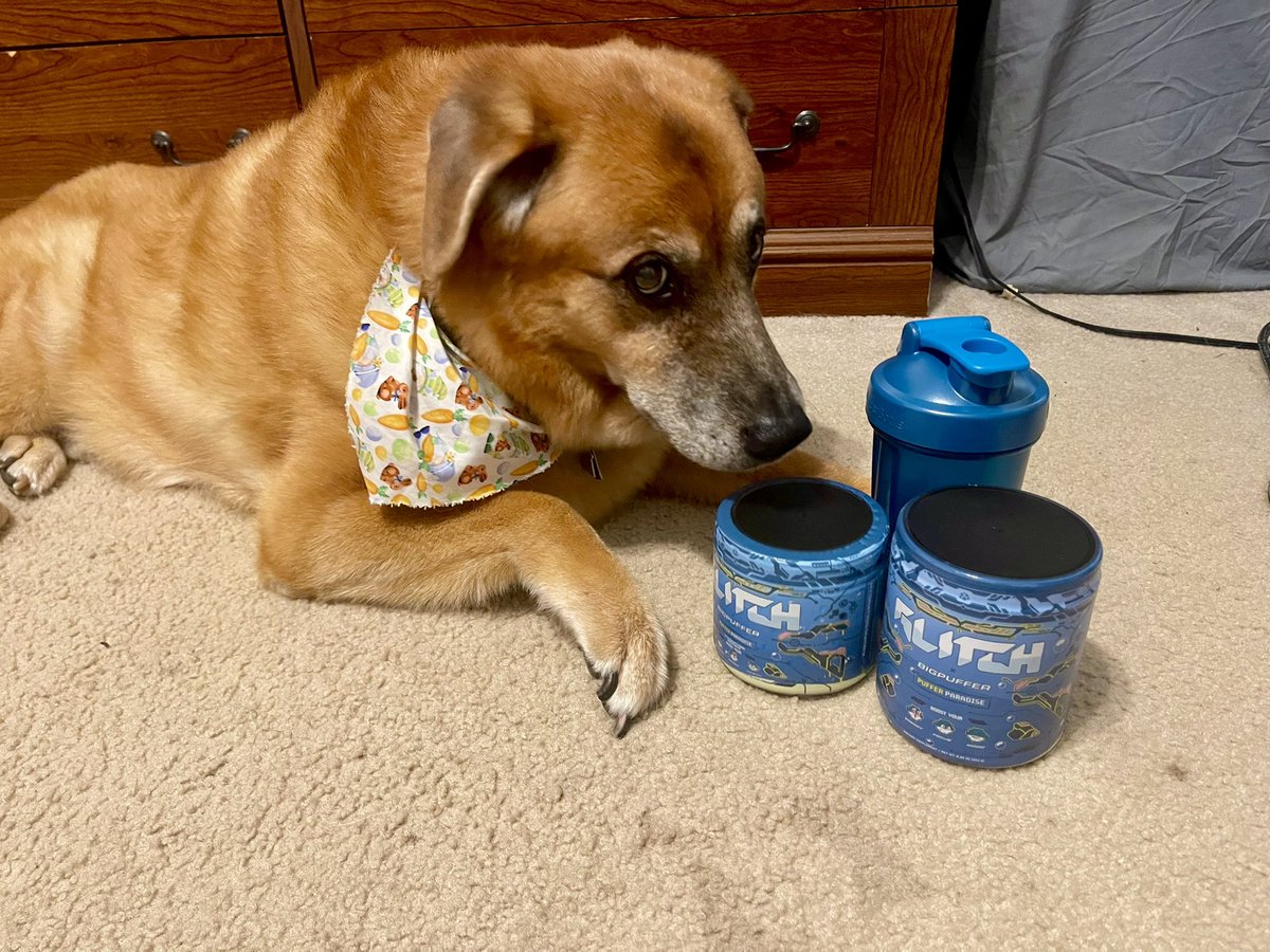 Mellaannieee17's tweet photo. @Condiddy48 &amp; I are huge @BigPuffer fans, had to get the Puffer Paradise Bundle! Signed card is framed and our dog Rafekee approves! @glitchenergyco #PufferParadise https://t.co/Q3ZTOlMbLE