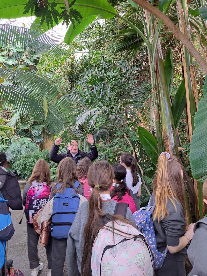 ScoilChaitBaggo's tweet image. Visit to the Botanical Gardens
5th Class were out and about in the Botanical Gardens for a food growing workshop this week. We took the number 4 bus across town on a beautiful morning.

scoilchaitrionabaggotstreet.ie/visit-to-the-b…