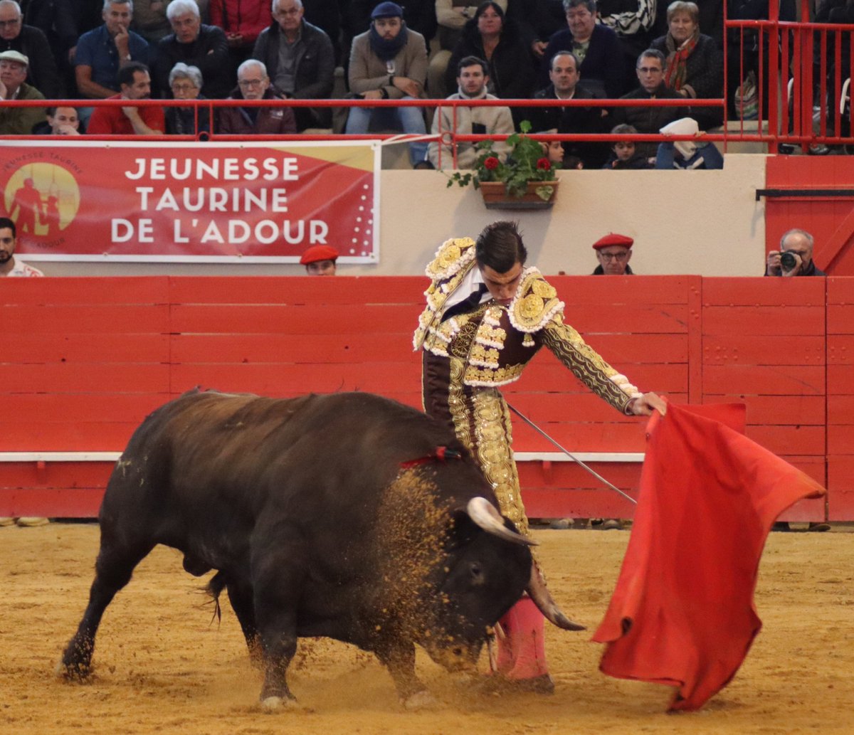 infoangeltellez's tweet photo. ➡️ Lote infame para ÁNGEL TÉLLEZ hoy en Gamarde 🇨🇵

💫 Destellos de su clase en el sexto pero sin posibilidad de éxito

#Tellez2023 #temporada #toros #AT #Francia #Gamarde https://t.co/L3km6nraoH
