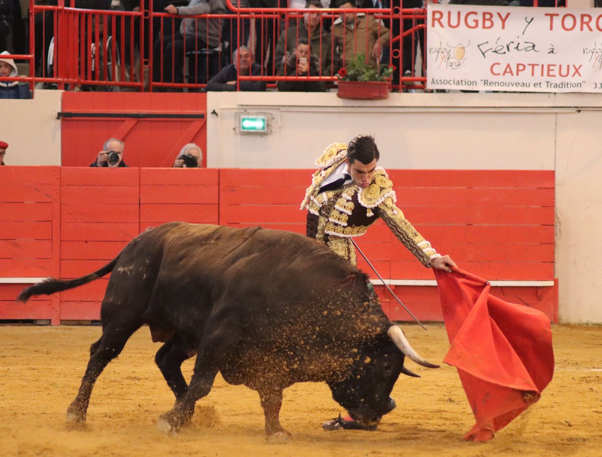 infoangeltellez's tweet photo. ➡️ Lote infame para ÁNGEL TÉLLEZ hoy en Gamarde 🇨🇵

💫 Destellos de su clase en el sexto pero sin posibilidad de éxito

#Tellez2023 #temporada #toros #AT #Francia #Gamarde https://t.co/L3km6nraoH
