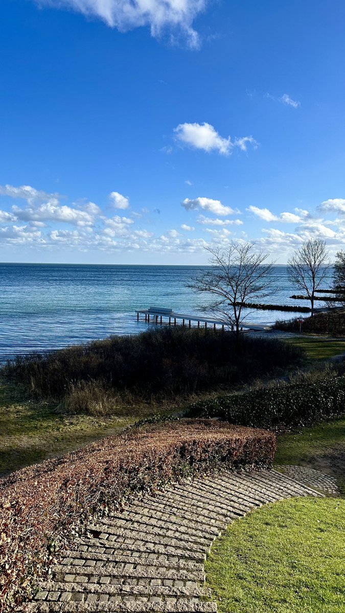 Janeni Jeevanathan tweet media