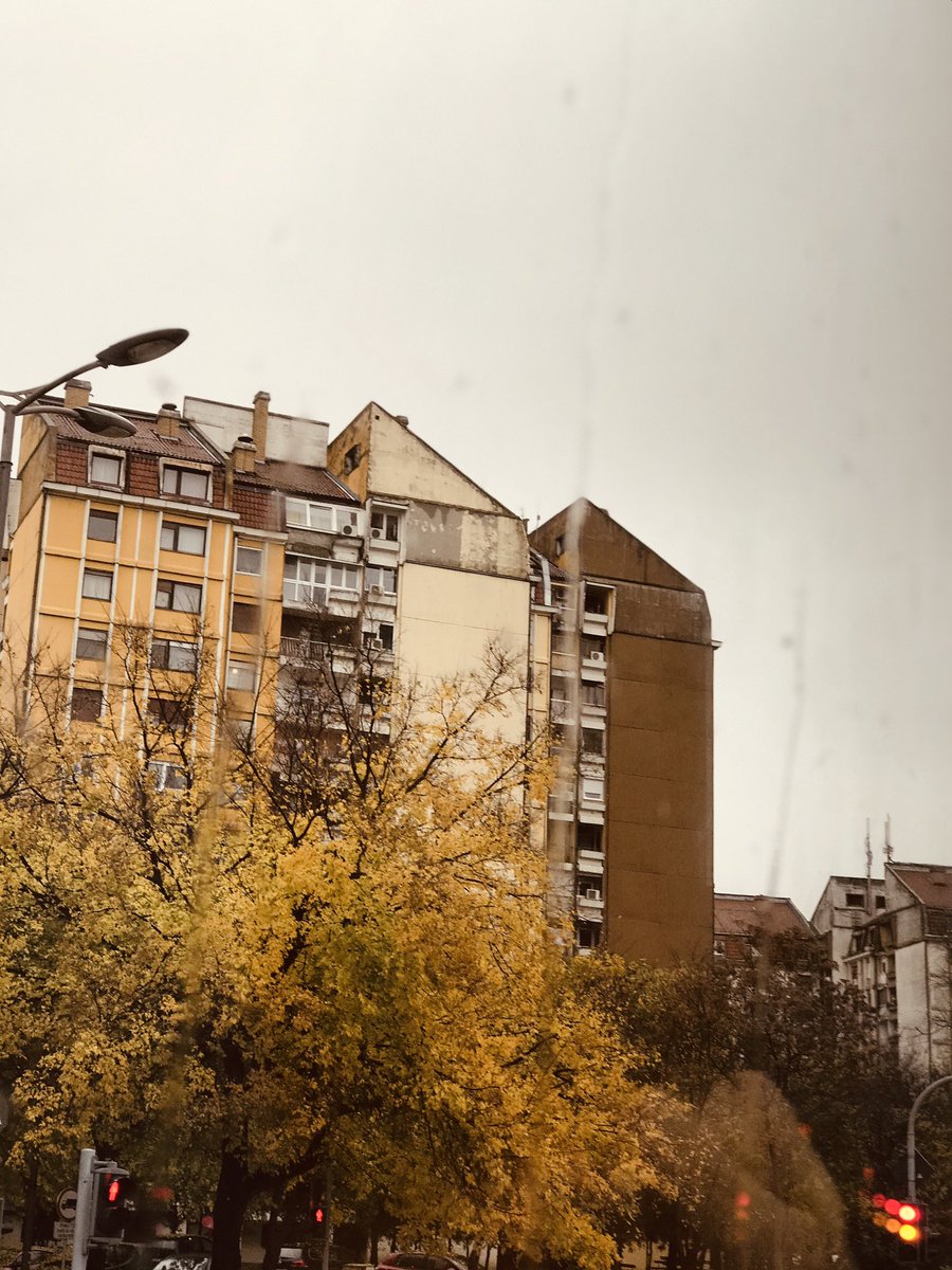 lifeinSerbia's tweet photo. Autumn in Serbia🧡 #Autumn #Leafs #FLOWER #viral https://t.co/wQwUfWoEvb