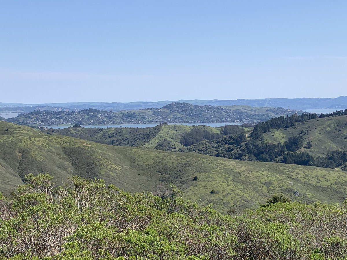Hiking in Marin County, CA.