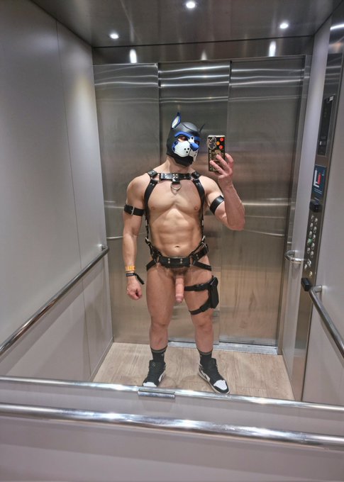 wanna be stuck in the elevator with me? 😈 https://t.co/WtsLaIQNck