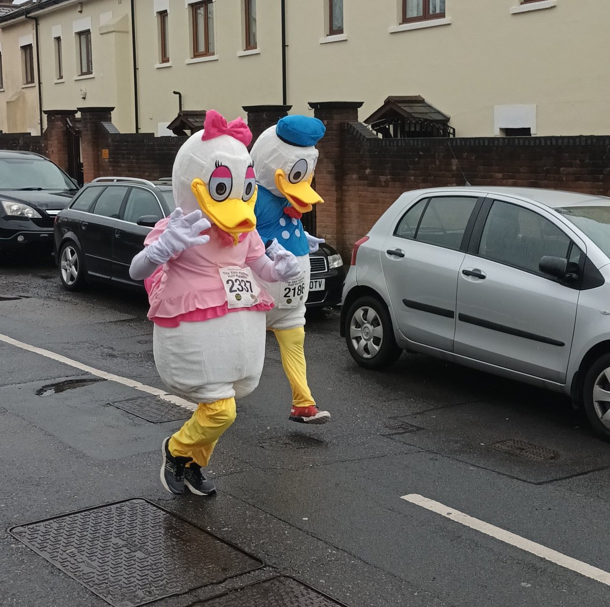 Hello. It was the Hastings Half Marathon today. We ran it last year, but cos of stuff, we were just spectators today. It was rainy, but there were great crowds. Charlie Brisley (the guy in orange) won it. Also, ducks.! #hastingshalf #hastings #hastingshalfmarathon