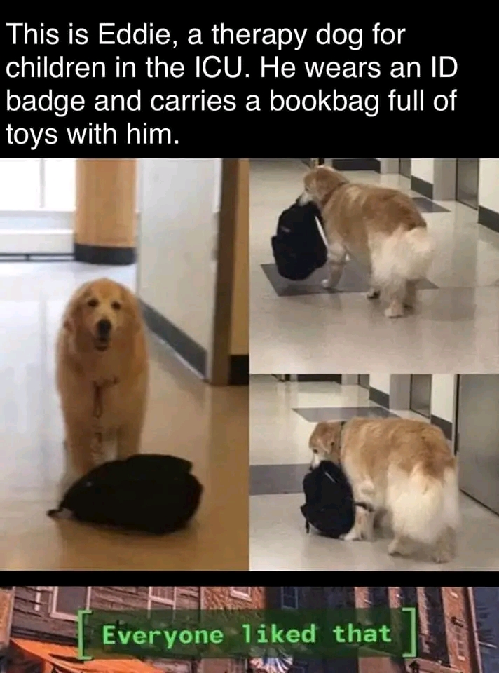 WholesomeMemes tweet media