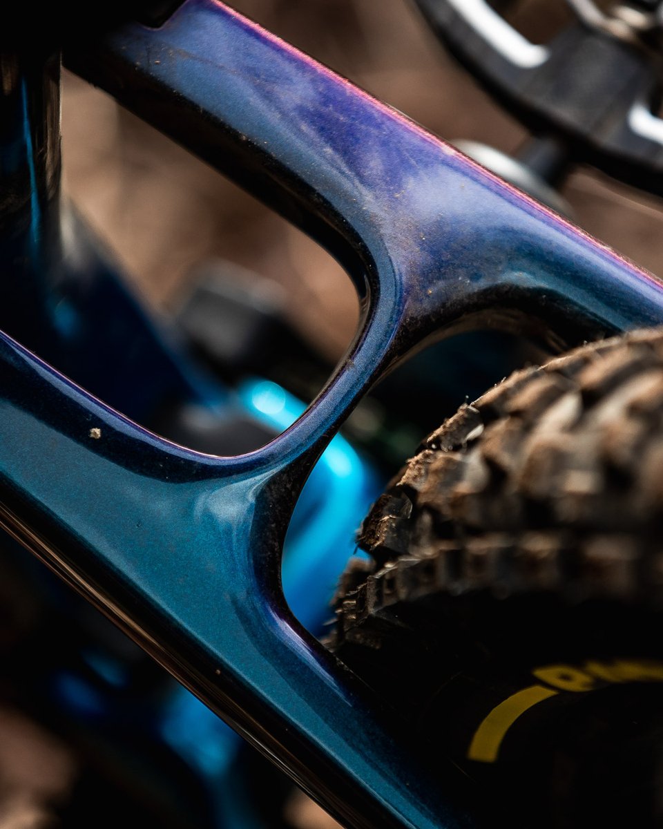 TrekBikes's tweet photo. Custom Fuel EX π€ Trek Factory Racing DH off-day trail ride
Name a better combination. We'll waitβ
π·: Ross Bell
#trekbikes #trekfuelex #mtb https://t.co/hsgpsA4RpF