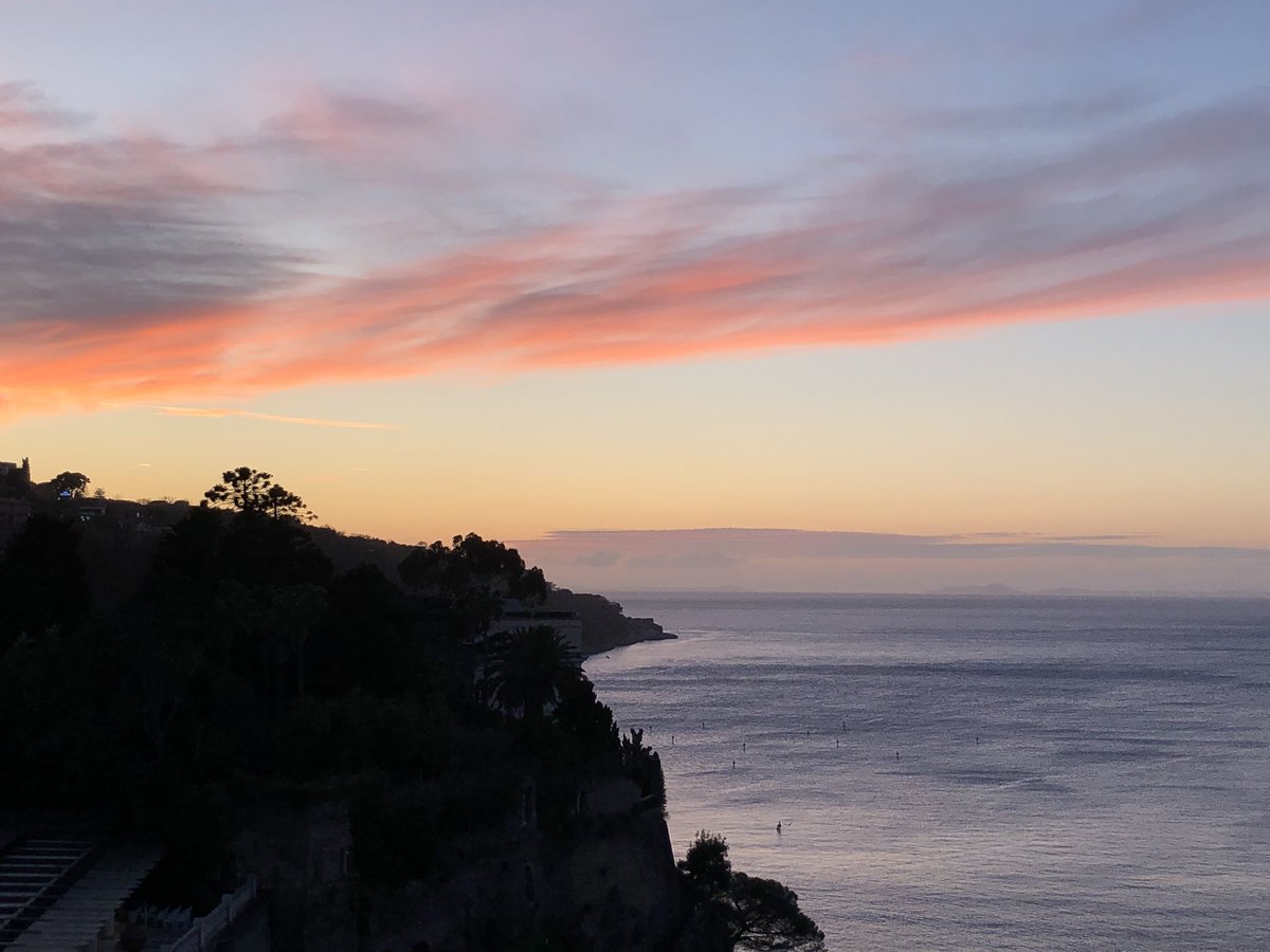 Matt Coviello tweet media