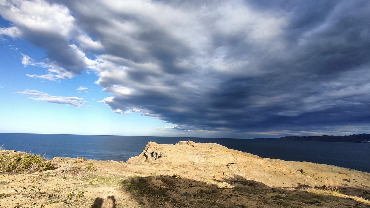 evacoli78's tweet photo. Contrastos de colors a llançà! Tardes!
@TomasMolinaB @alexmegapc #ElTempsTV3 #eltemps #324eltemps https://t.co/aWT7GKXOXQ