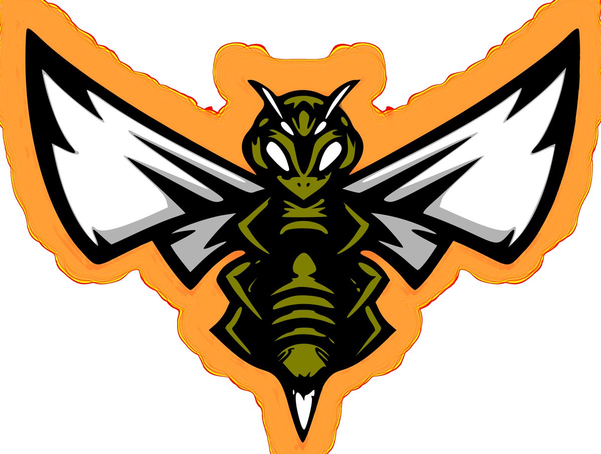 GraphicsRKW's tweet image. The next set is a flaming hornet I did at someone&apos;s request. May or May not become a team I create. The Cali Valley Tyrannos (w/ alt), &amp;amp; St. Louis Vo-Tech Warhawks. And yes, the Warhawks r loosely based on the @TheRock&apos;s @XFLBattlehawks. #ModusGames #MaximumFootball
