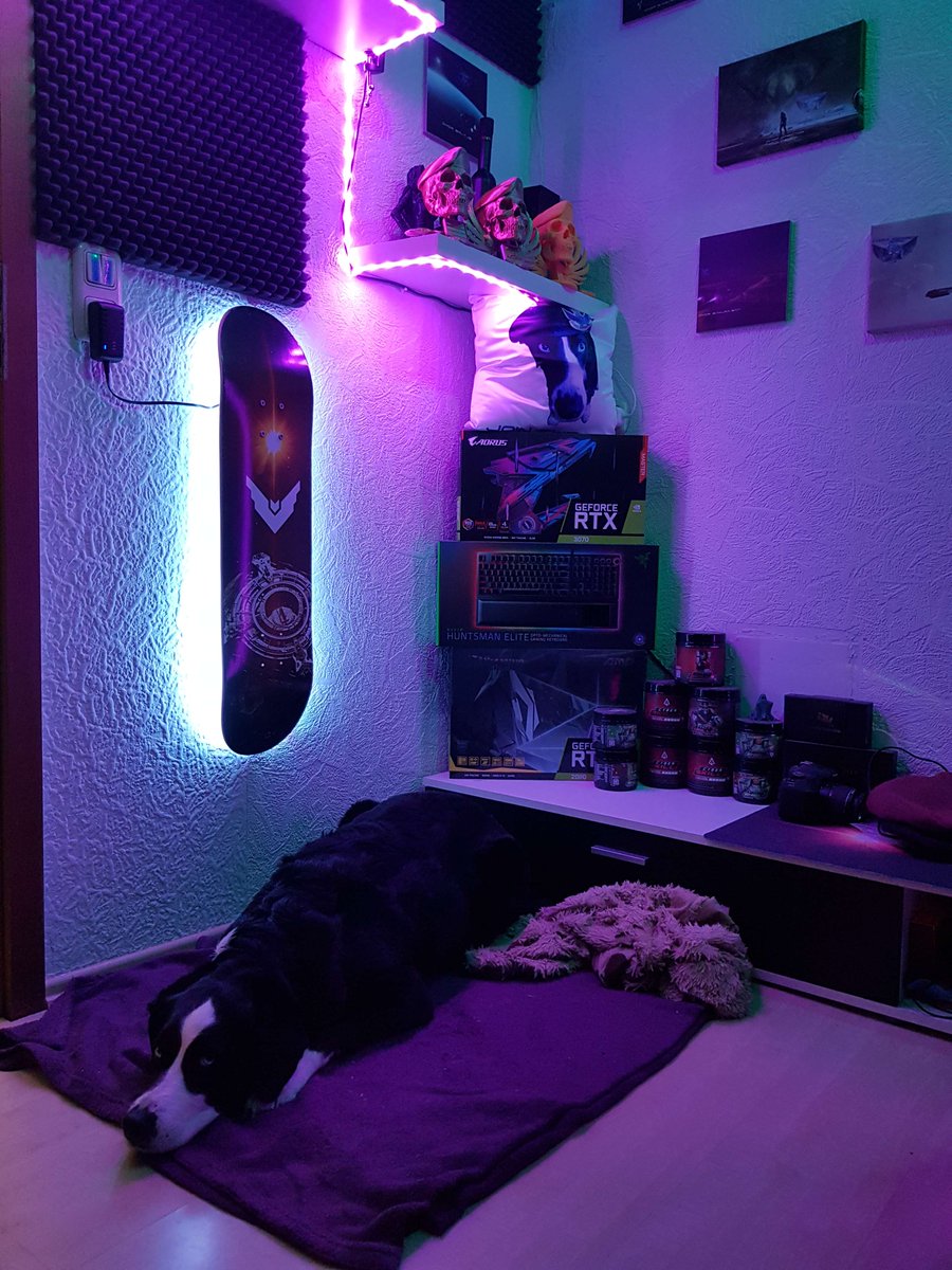 ltpsych's tweet photo. Finally its Done the Skateboard-Wallmount.

#EliteDangerous @EliteDangerous @frontierdev #skateboard #LED #tawegacia https://t.co/zjjEdA5USd