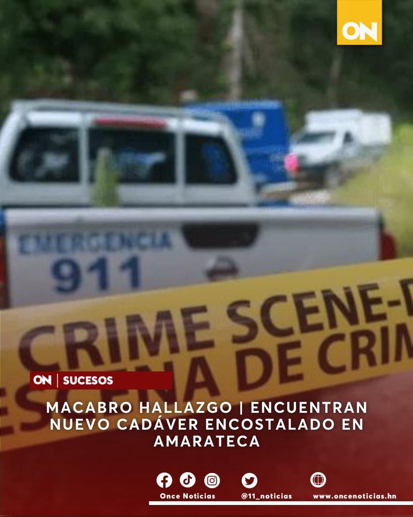 11_Noticias's tweet photo. 🚨#SUCESOS🚨| Encuentran encostalado el cadáver de una persona en la comunidad de El Reventón en Amarateca, continuando con la macabra práctica de tirar los cuerpos en envoltorios en el país.
Detalles aquí: https://t.co/wb3KwXh3H2
#Cadaver #Encostalado #Amarateca https://t.co/E2uaMHNCD4