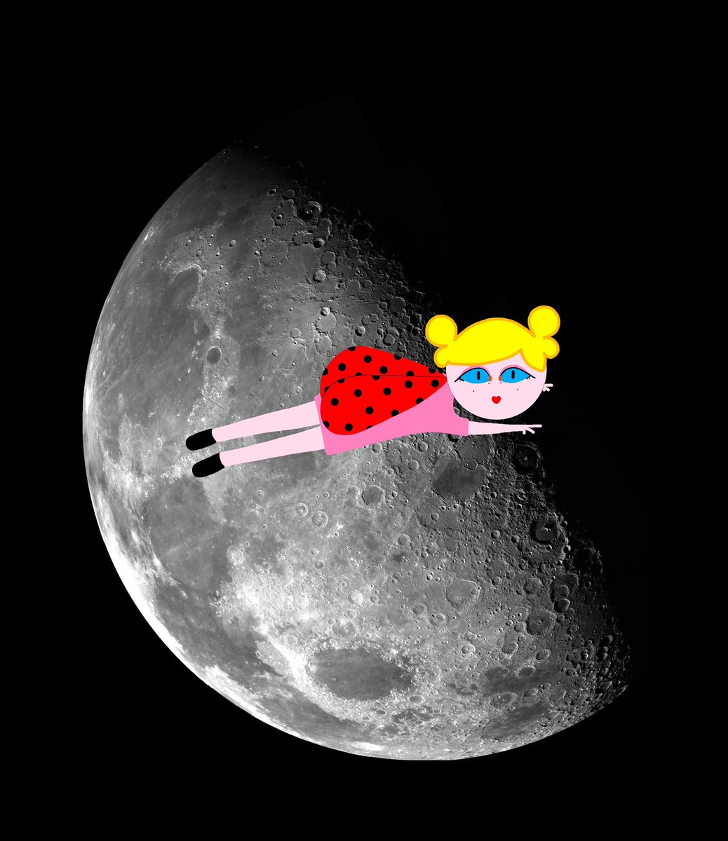 Mr Know it all! tweet media