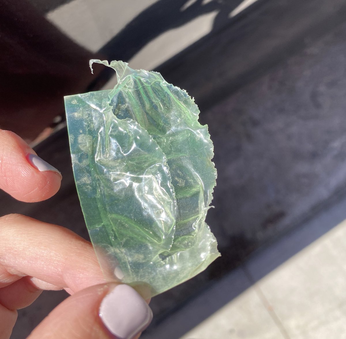michelleriveraa's tweet photo. Así es como distribuyen la droga en las calles de #Hermosillo,el “detalle” de tener bolsitas de colores. Si ves algo similar en el piso, como las ves mucho en el sur de la ciudad, puedes confirmar que se trata de cocaína u otra droga.

Algo cotidiano e incontrolable por esa zona https://t.co/sJZIr6Pc7a