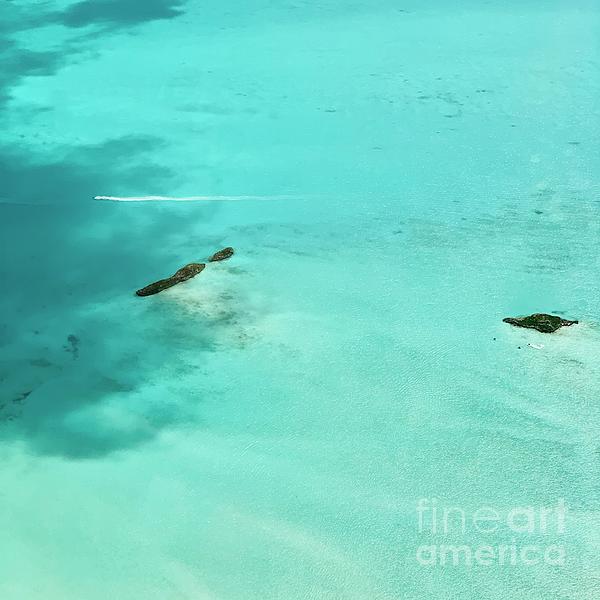 New artwork for sale! - "West Caicos Cruising" - fineartamerica.com/featured/west-… <a href="/fineartamerica/">Fine Art America</a>