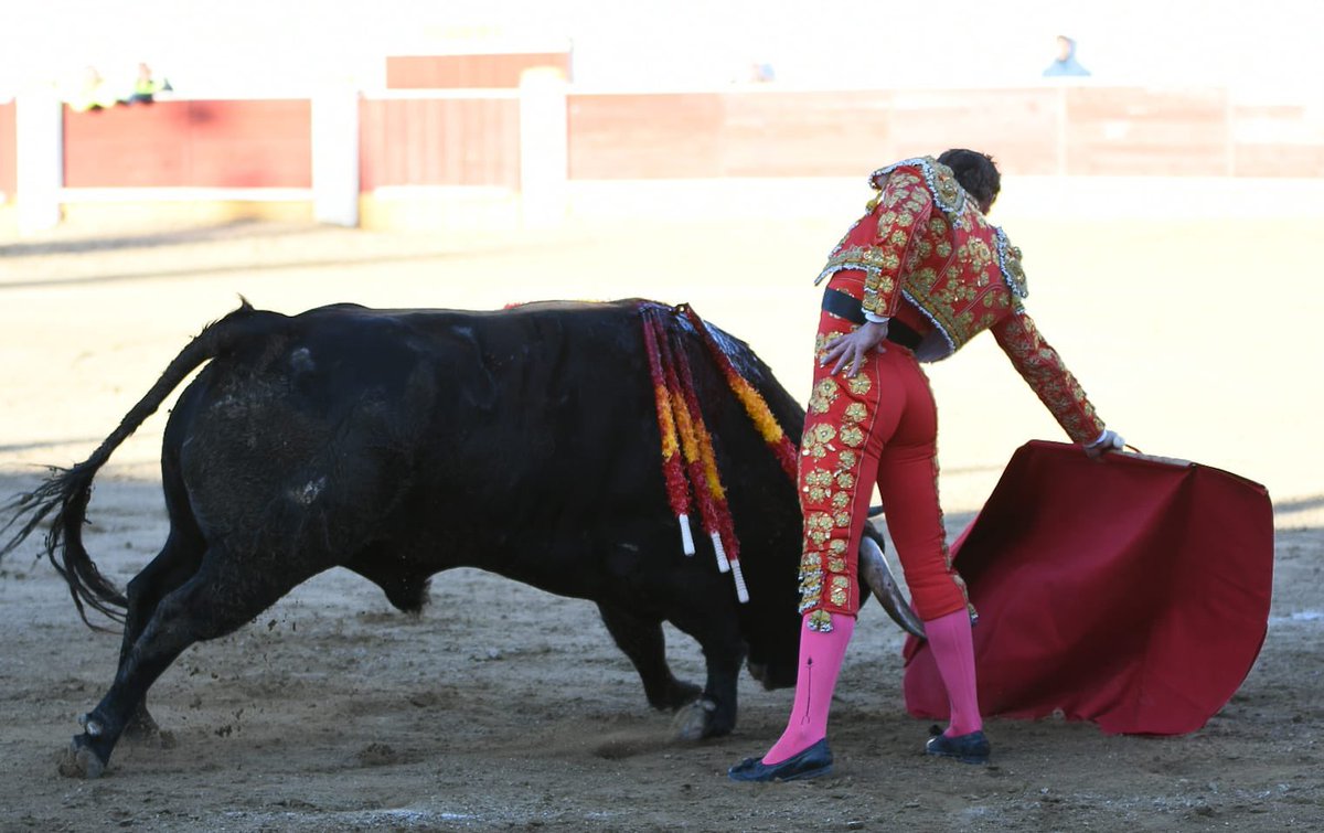 CopaChenel tweet media