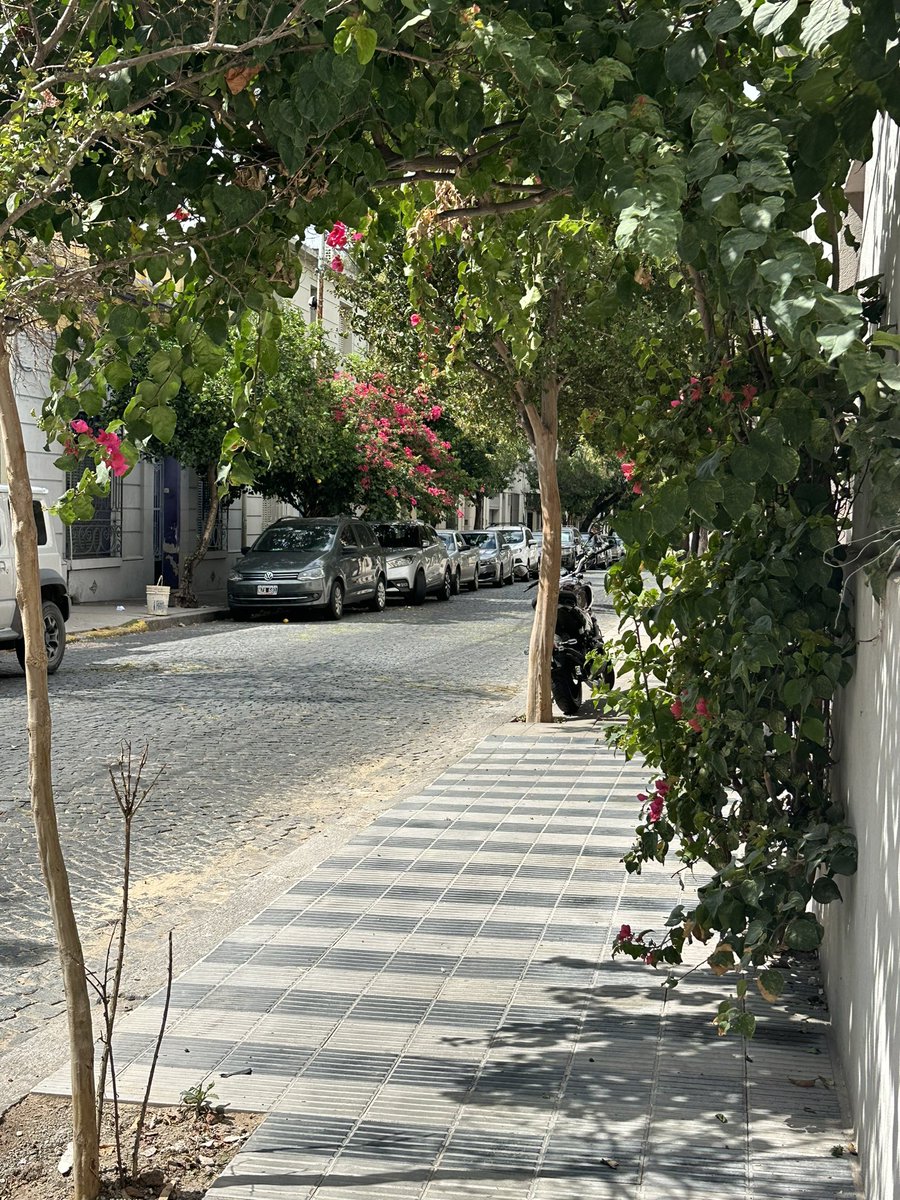 yvieeeeee's tweet photo. i miss walking the beautiful streets of buenos aires 😭 https://t.co/c5DFhuXo0w