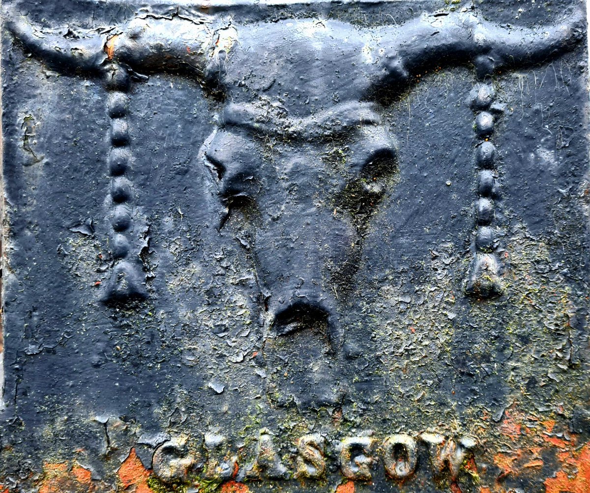 Today's animal in Glasgow's architecture is this Bucranium (Ox Skull) on lamp post at Alexander 'Greek' Thomson's Great Weatern Terrace in the west end of Glasgow.

#glasgow #alexandergreekthomson
#greatwesternterrace #greatwesternroad #animalsinarchitecture #designdetail