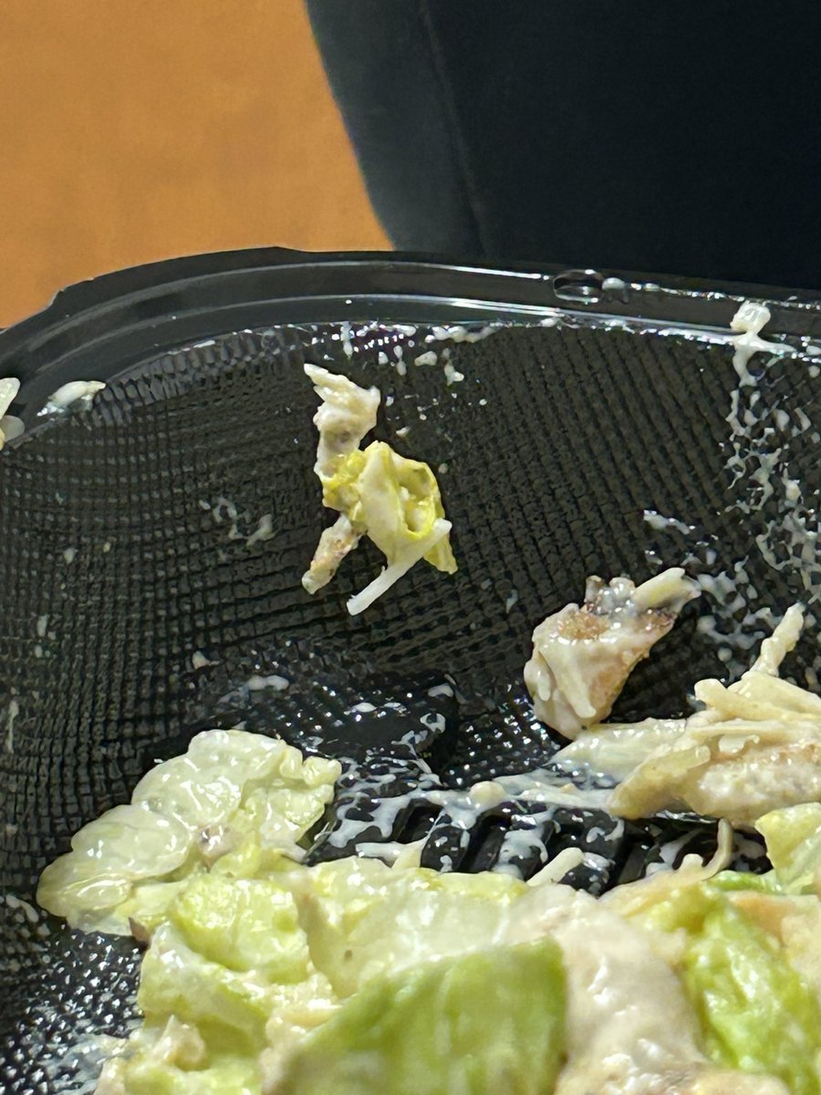 EbornEmmy's tweet photo. We found a lamb in my brothers salad https://t.co/xmbwZM6xPg