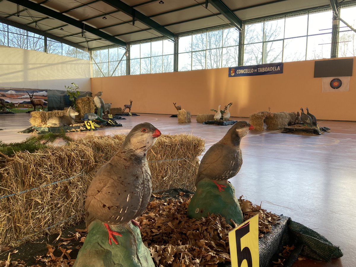 Se ha celebrado el I Campeonato Gallego de 3D Indoor, en Taboada (Ourense), organizado por el Club Lumelar,  gracias al Concello de Taboada y a todos los colaboradores que han echo posible su desarrollo. Felicidades a todos los participantes, en especial a los premiados.