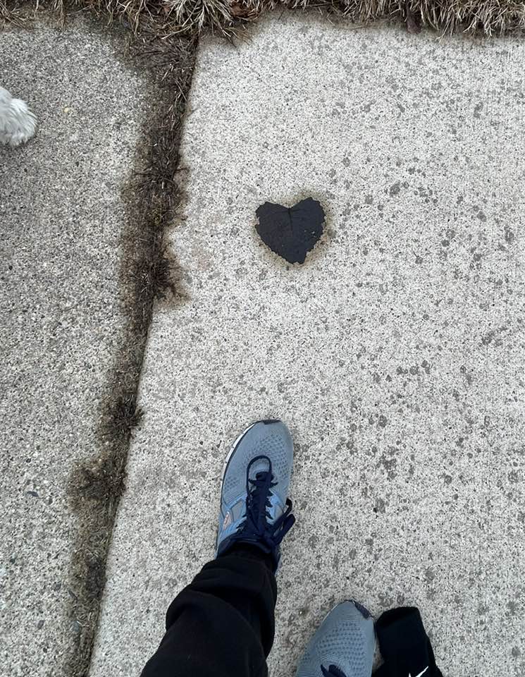 A heart represented by a leaf. We never know when the answers (or messages) appear. ❤️🍁

Little Baghdad: A Memoir About an Endangered People in an American City a.co/d/2CGwSpJ 

#LittleBaghdad #writerslife #nature #spirituality #Mesopotamia #Chaldeans #Indigenouspeople