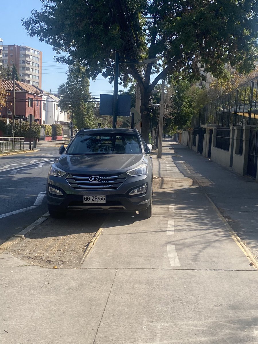 Cierta infraestructura es tan mala, que ese auto estacionado sobre la ciclovía sólo continúa el obstáculo que significa el árbol (y el poste un poco más atrás, y otro árbol, aún más atrás). 

Así no hay cómo convencer a nuevxs ciclistas <a href="/MuniNunoa/">Municipalidad de Ñuñoa</a>