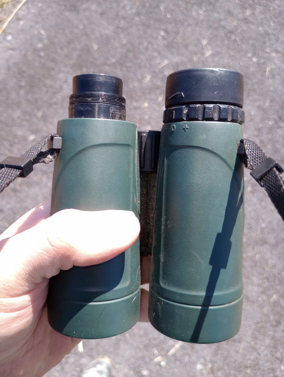 John P. Vanek, PhD tweet media