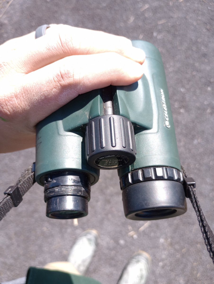 John P. Vanek, PhD tweet media