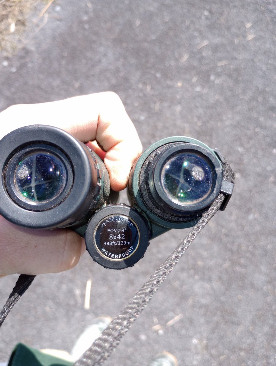 John P. Vanek, PhD tweet media