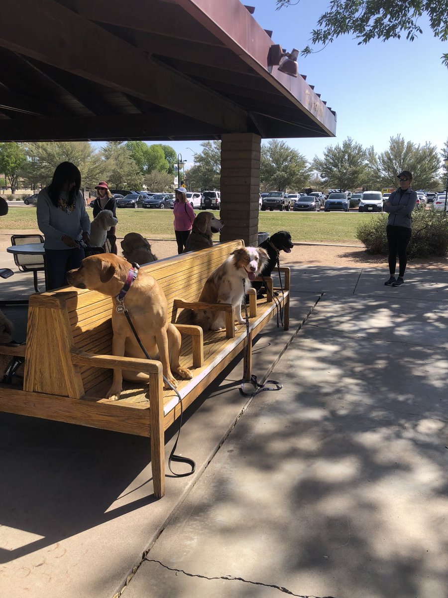 Phd pup by day and certified good boy by night. After sitting through all my zoom classes the past few years, Riv has been taking on his own training classes to work on his leash reactivity

#thegrindneverstops