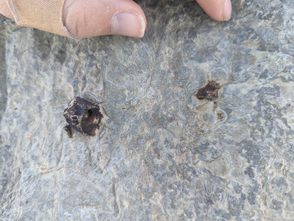 lizzy_t's tweet photo. #spongeSunday out here in the Cambrian with @nicole_mizrahi https://t.co/6Si9z0Q7Qf