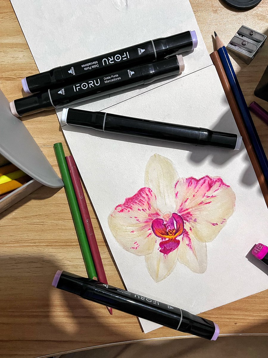 _laNatt__'s tweet photo. Mis dos pasatiempos favoritos ✨ 

&amp; su pasatiempo cual es ? 

🌿🌱🌿🌱🌿🌱🌿🌱🌿🌱🌿🌱🌿

My two favorite hobbies ✨

What is your hobby?  

#OrchArt #orchids #orchid https://t.co/qs8bEYtOkI