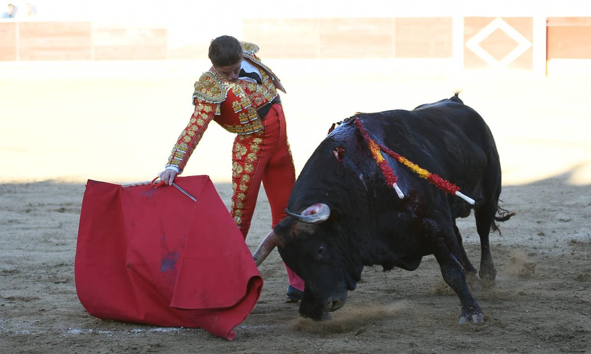 Diego Carretero tweet media