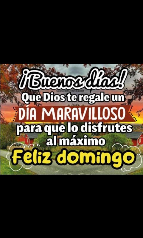 ErikaAlemanH's tweet photo. Feliz día🙏♥️ https://t.co/BLATkJCtfc