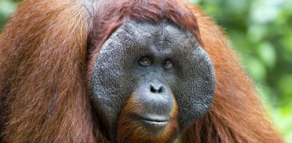 InstaSamer tweet media