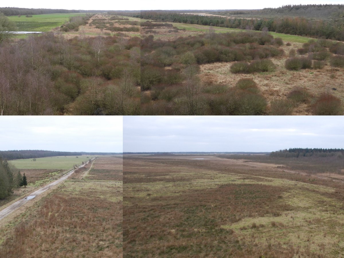 In tien jaar tijd kunnen gebieden enorm veranderen. Vanmiddag maakte ik een paar landschapsfoto's in het #HartVanDrenthe. Uit mijn archief hetzelfde uitzicht in maart 2013. Mooi dat spontane bosontwikkeling hier  ruimte krijgt.