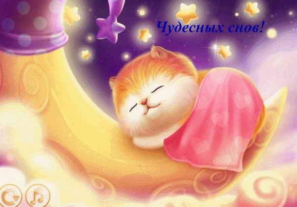 Tudoroi39's tweet image. Хорошего вечера и доброй ночи!