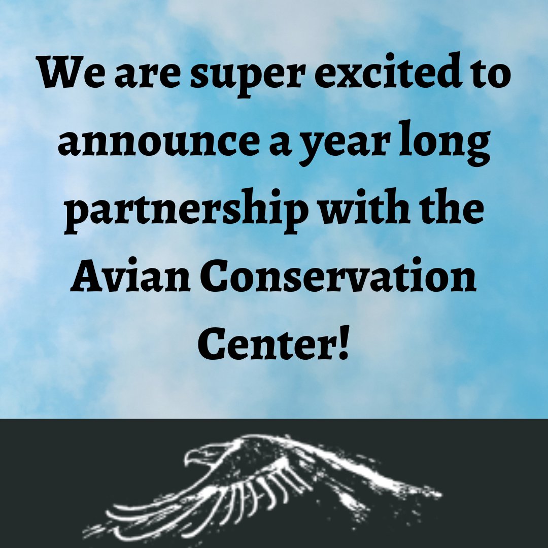 MsRosie_library's tweet photo. We are going to have the best year ever with @centerforbirdsofprey STAY TUNED for more updates. #library @vocalccsd #birdnerdsintraining #birding #scienceofflight @JamesSimonsMont https://t.co/fUiDXGJA05