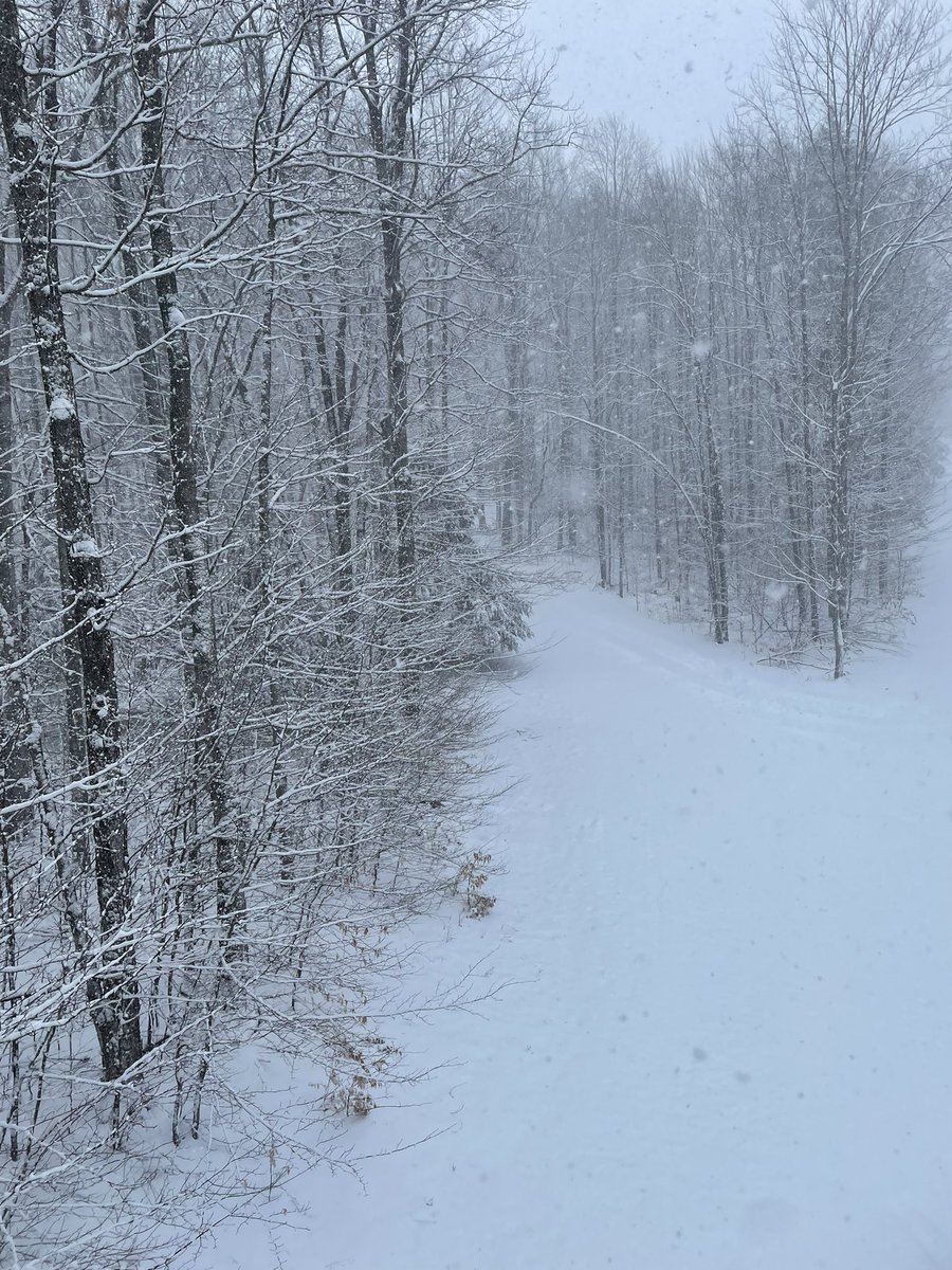 Matt Niemeyer tweet media