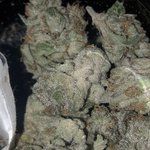 Photo by wintergrassfarms (@wintergrassfarm)