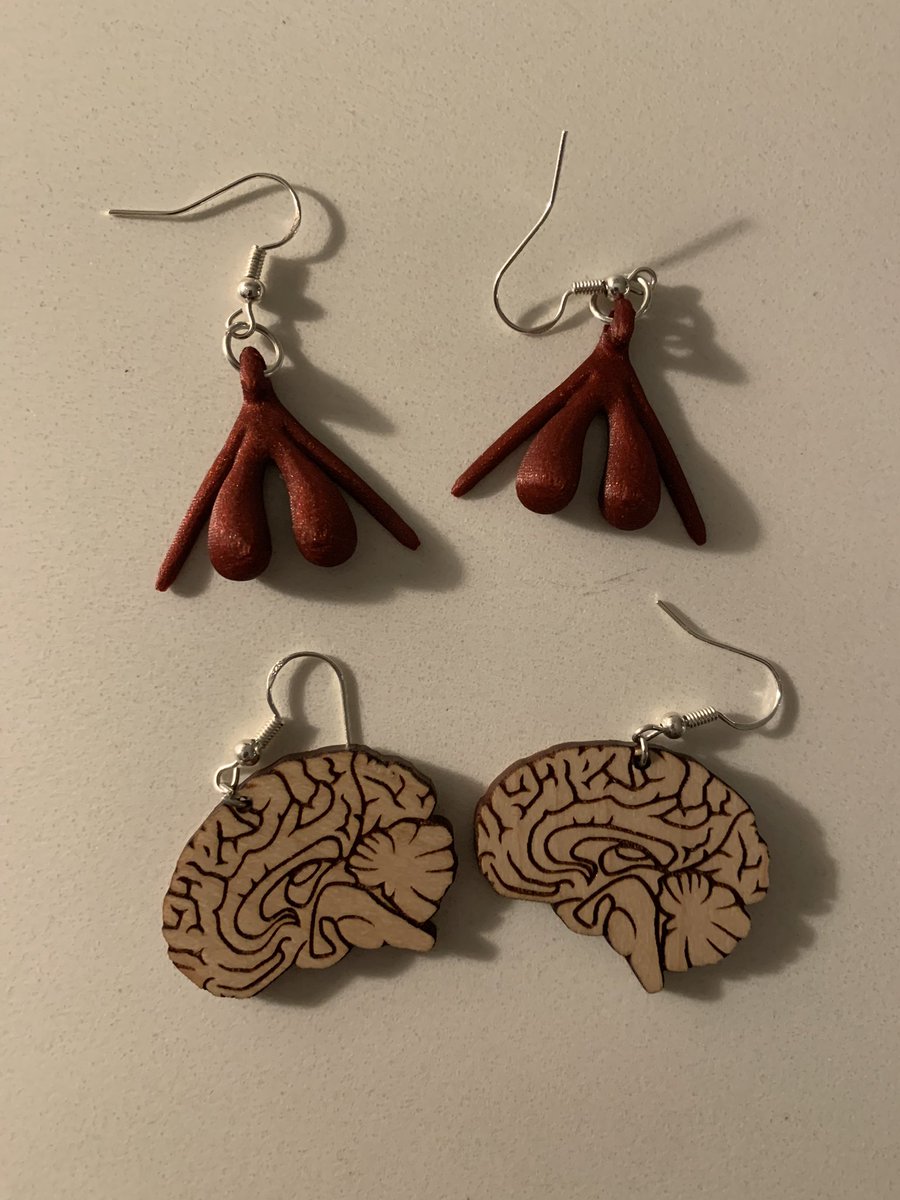 Kate Lesciotto (@katelesciotto) on Twitter photo Thanks to Javan Stalls and <a href="/badassanatomist/">Theodore Smith 🏳️🌈 (he/they)</a> for keeping my earring game on point at #AnatomyConnected2023 Thanks to Javan Stalls and <a href="/badassanatomist/">Theodore Smith 🏳️🌈 (he/they)</a> for keeping my earring game on point at #AnatomyConnected2023