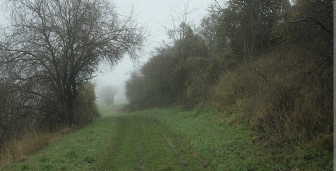 diwitweets's tweet image. ...und was bringt die #Sommerzeit jetzt??? Irgendwie war es um 19 Uhr schon düster und jetzt sind die Straßenlaternen an... 🤔 Dafür bin ich  zeitlich bedingt etwas durcheinander. Also wegen mir können wir den Blödsinn mit #Zeitumstellung vergessen und die #Normalzeit lassen.