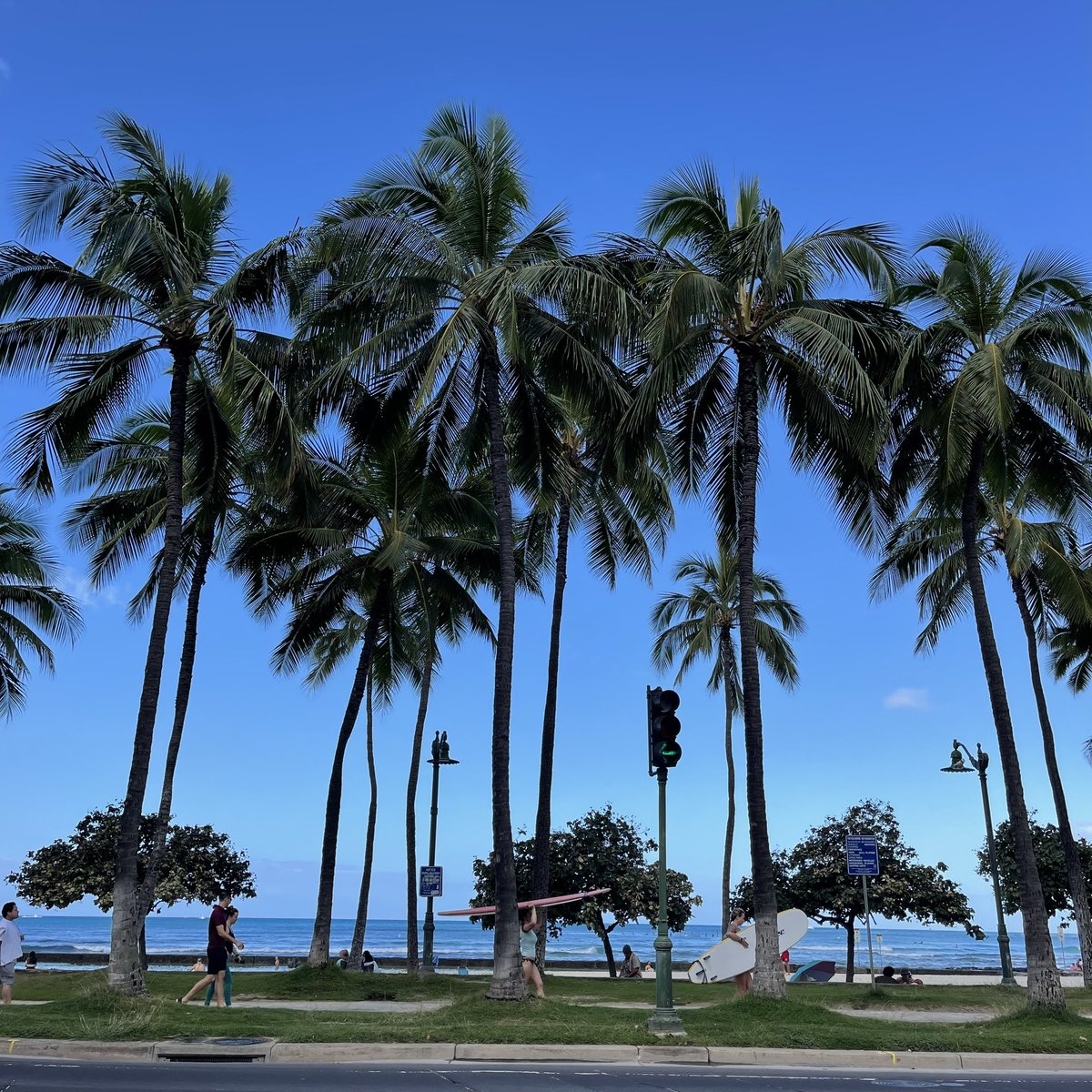 MihoRiddle's tweet photo. ハワイからAloha☀🌴🌺🌈🏖

#aloha 
#爽やかな朝です
#朝のハワイ
#海
#シェラトンワイキキ https://t.co/khVwPdt5ZU