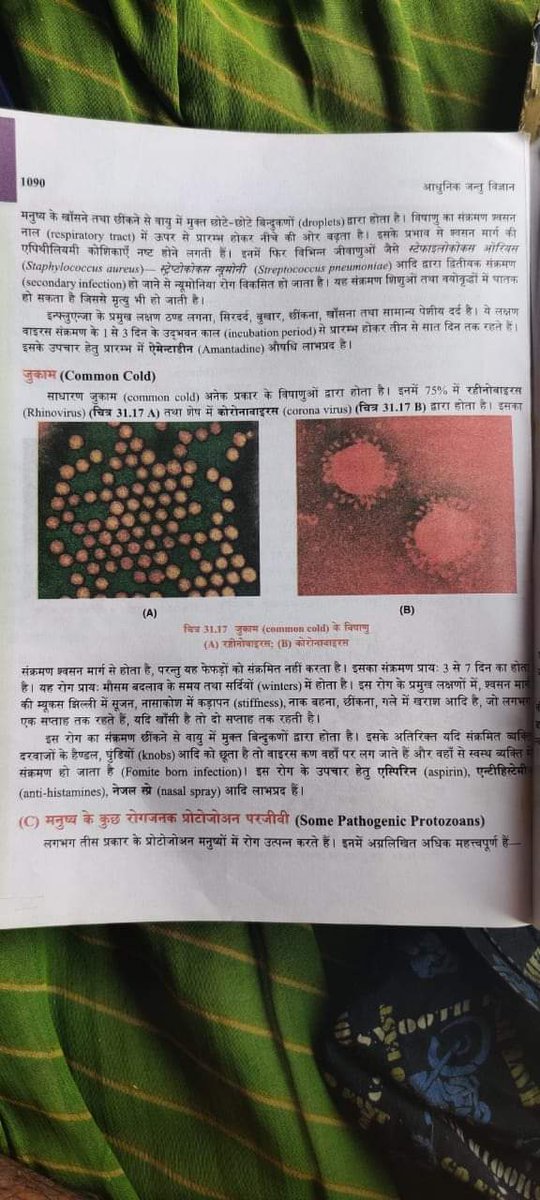 buzzingguffaw's tweet image. It was there in #ShivPurana, this #CoronaVirus will come from China! #Vedas are the real deal. #sanskrit