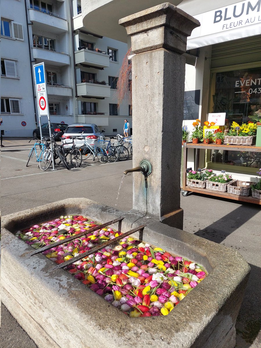 Giubu2000's tweet photo. @eliistender10 https://t.co/1YzICtVD7l