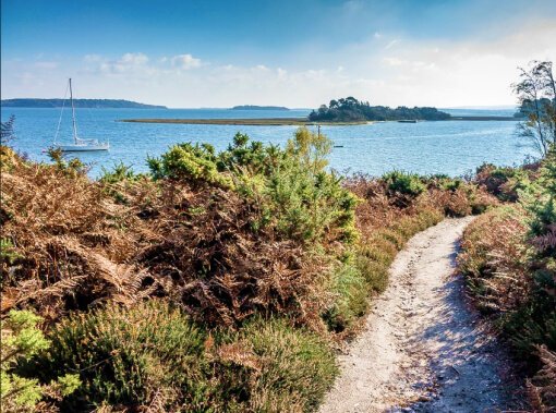 🚨 BREAKING: MAJOR INCIDENT DECLARED AFTER LEAK FROM DORSET OIL FIELD 🛢️ Dirty fuels have contaminated in one of the UK's most beautiful nature spots, Poole Harbour in Dorset. ⚠️ 'Anyone who has come into contact with the spill should wash immediately with soap and water'