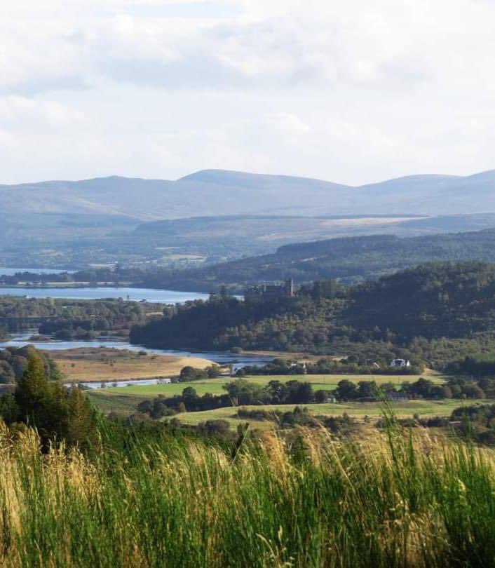 Helen Rutherford tweet media